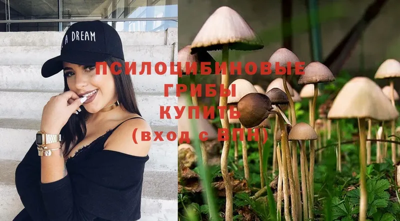 Псилоцибиновые грибы Psilocybine cubensis  kraken рабочий сайт  Вольск  купить  